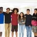 The Diversity of Student Populations in Public Schools in Northern Virginia